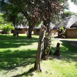 Crocuta Game Lodge - 5 Chalets with a communal area and swimming pool